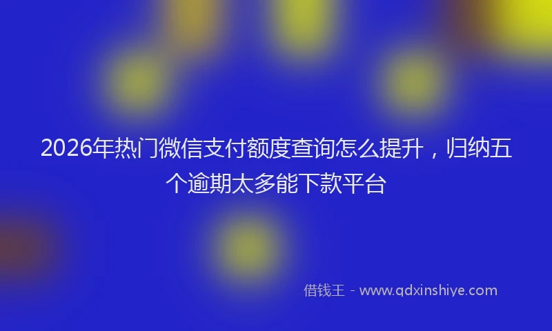 2026年热门微信支付额度查询怎么提升，归纳五个逾期太多能下款平台