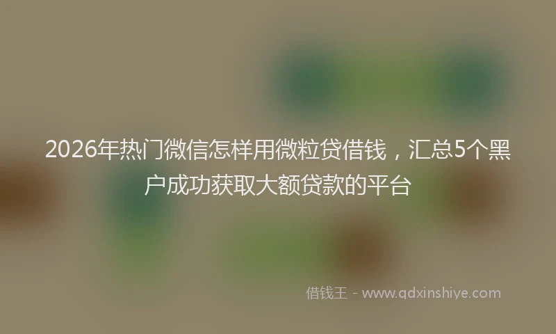 2026年热门微信怎样用微粒贷借钱，汇总5个黑户成功获取大额贷款的平台