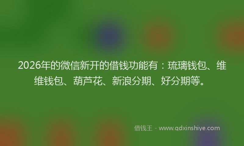 2026年的微信新开的借钱功能有：琉璃钱包、维维钱包、葫芦花、新浪分期、好分期等。