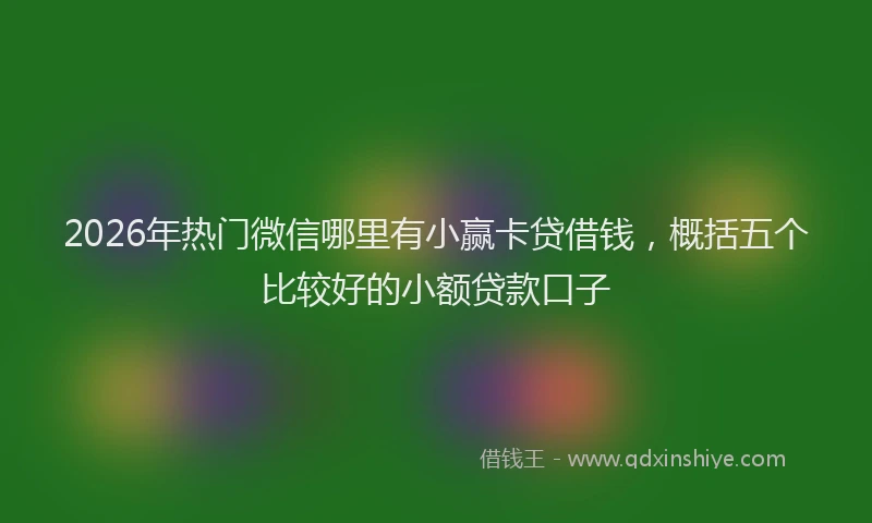 2026年热门微信哪里有小赢卡贷借钱，概括五个比较好的小额贷款口子