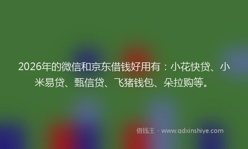 2026年的微信和京东借钱好用有：小花快贷、小米易贷、甄信贷、飞猪钱包、朵拉购等。