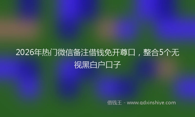2026年热门微信备注借钱免开尊口，整合5个无视黑白户口子