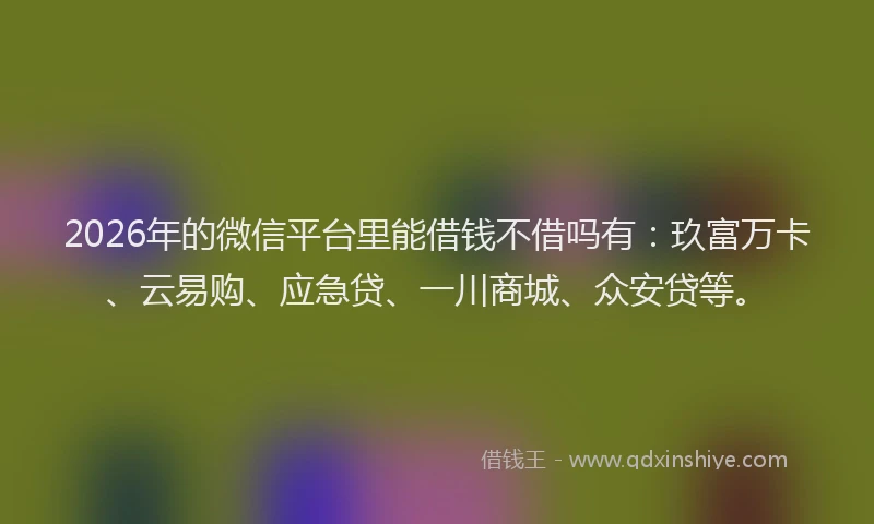 2026年的微信平台里能借钱不借吗有：玖富万卡、云易购、应急贷、一川商城、众安贷等。