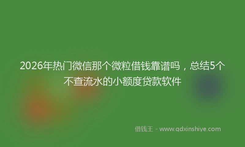 2026年热门微信那个微粒借钱靠谱吗，总结5个不查流水的小额度贷款软件