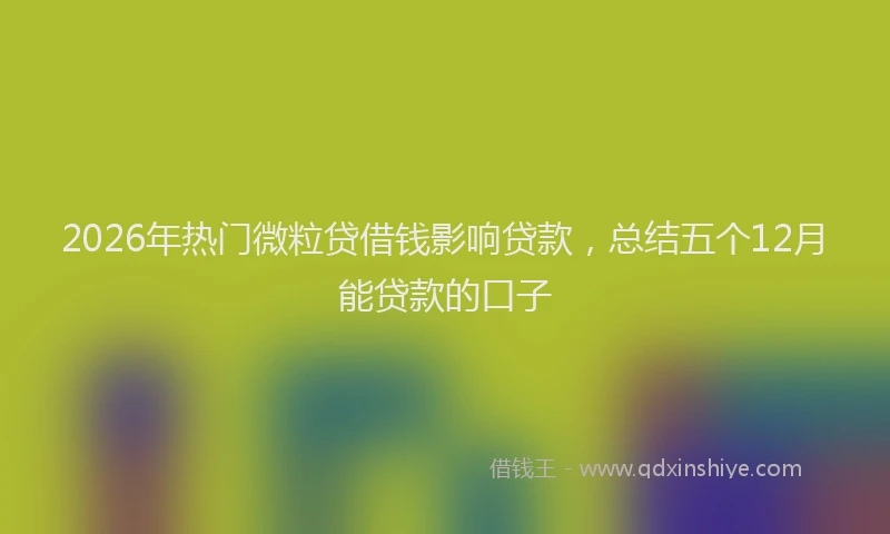 2026年热门微粒贷借钱影响贷款，总结五个12月能贷款的口子