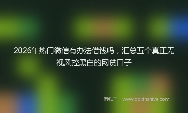2026年热门微信有办法借钱吗，汇总五个真正无视风控黑白的网贷口子
