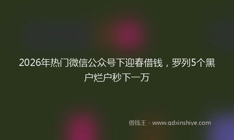 2026年热门微信公众号下迎春借钱，罗列5个黑户烂户秒下一万