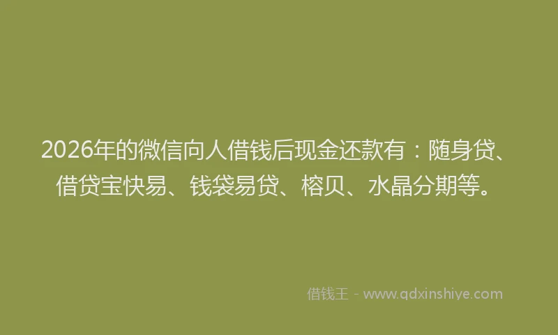 2026年的微信向人借钱后现金还款有:随身贷、借贷宝快易、钱袋易贷、榕贝、水晶分期等。