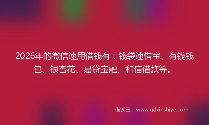 2026年的微信速用借钱有：钱袋速借宝、有钱钱包、银杏花、易贷宝融、和信借款等。
