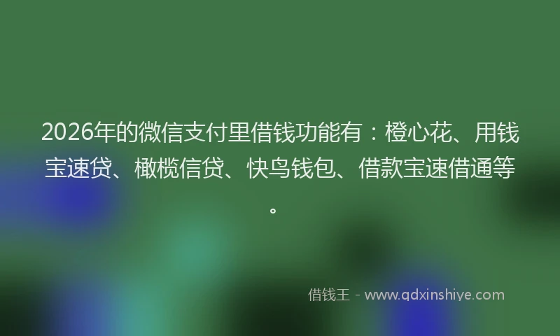 2026年的微信支付里借钱功能有:橙心花、用钱宝速贷、橄榄信贷、快鸟钱包、借款宝速借通等。