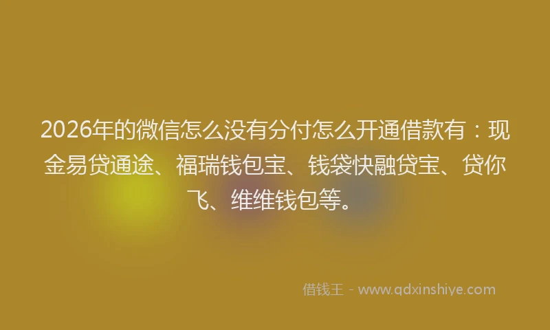 2026年的微信怎么没有分付怎么开通借款有:现金易贷通途、福瑞钱包宝、钱袋快融贷宝、贷你飞、维维钱包等。