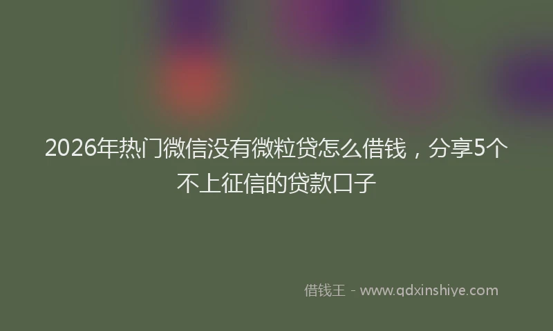 2026年热门微信没有微粒贷怎么借钱,分享5个不上征信的贷款口子