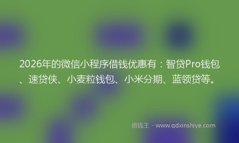 2026年的微信小程序借钱优惠有:智贷Pro钱包、速贷侠、小麦粒钱包、小米分期、蓝领贷等。