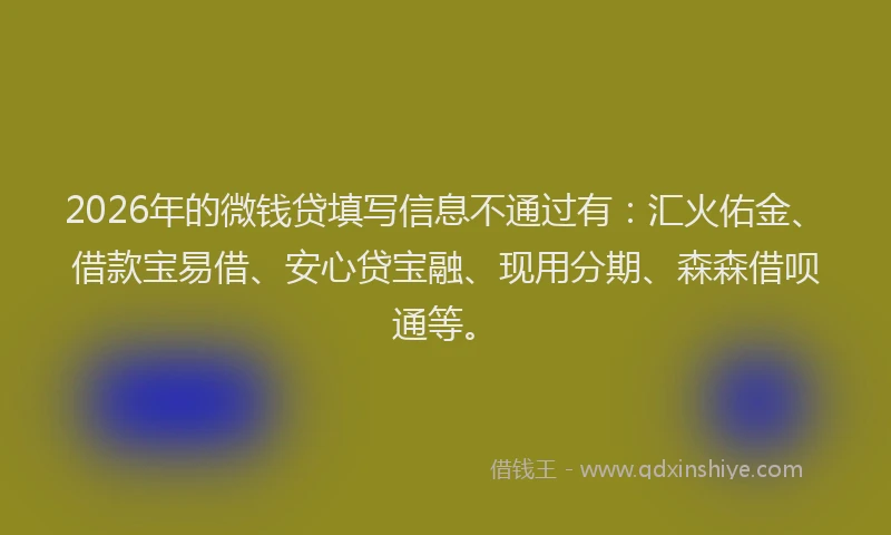 2026年的微钱贷填写信息不通过有：汇火佑金、借款宝易借、安心贷宝融、现用分期、森森借呗通等。