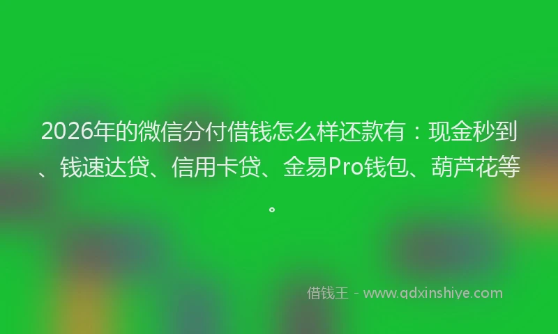 2026年的微信分付借钱怎么样还款有：现金秒到、钱速达贷、信用卡贷、金易Pro钱包、葫芦花等。