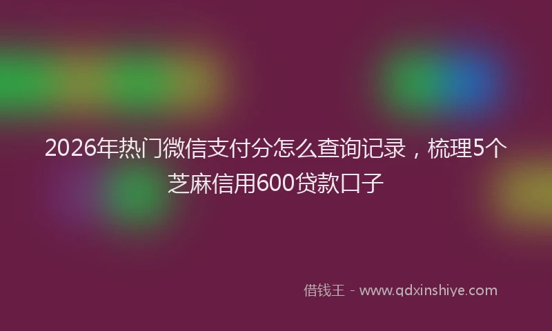 2026年热门微信支付分怎么查询记录，梳理5个芝麻信用600贷款口子