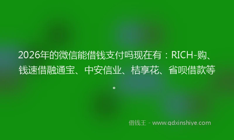 2026年的微信能借钱支付吗现在有：RICH-购、钱速借融通宝、中安信业、桔享花、省呗借款等。