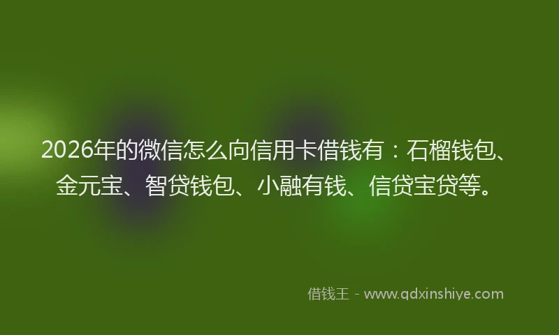 2026年的微信怎么向信用卡借钱有:石榴钱包、金元宝、智贷钱包、小融有钱、信贷宝贷等。