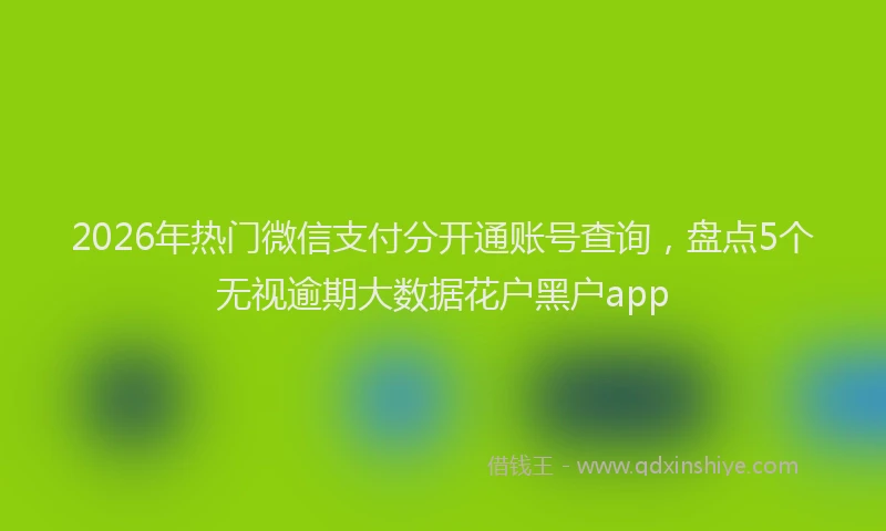 2026年热门微信支付分开通账号查询，盘点5个无视逾期大数据花户黑户app