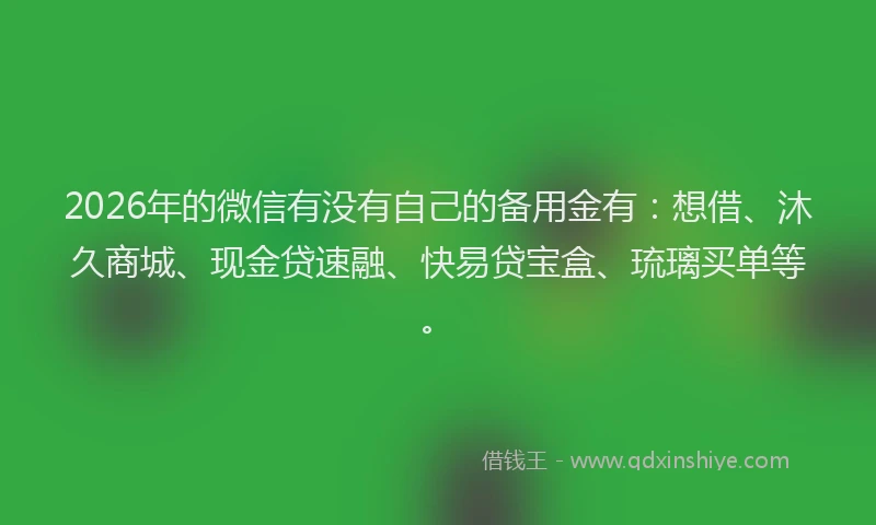 2026年的微信有没有自己的备用金有：想借、沐久商城、现金贷速融、快易贷宝盒、琉璃买单等。