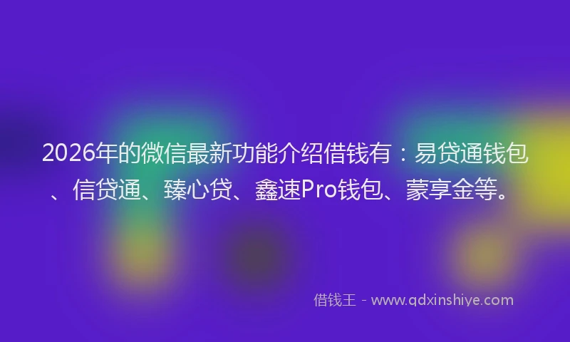 2026年的微信最新功能介绍借钱有：易贷通钱包、信贷通、臻心贷、鑫速Pro钱包、蒙享金等。