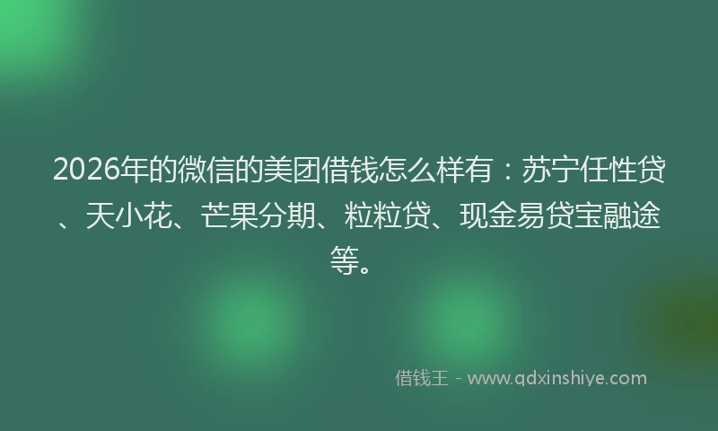 2026年的微信的美团借钱怎么样有：苏宁任性贷、天小花、芒果分期、粒粒贷、现金易贷宝融途等。