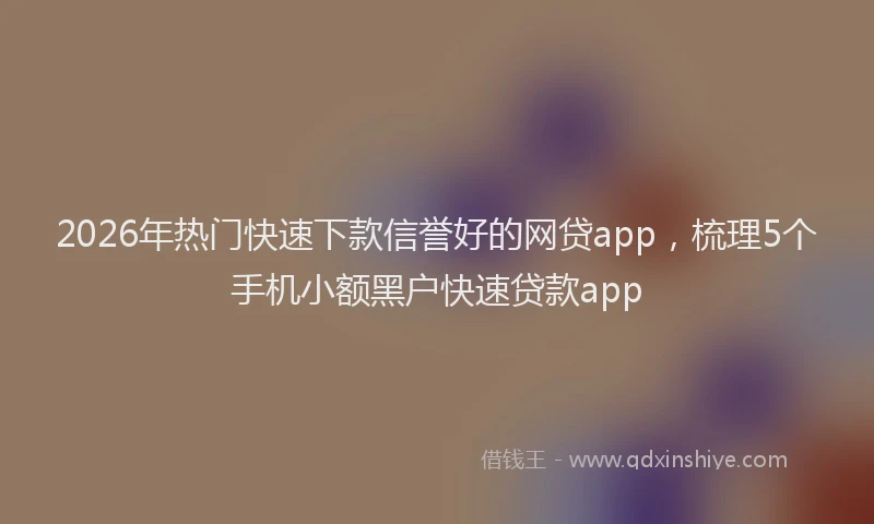 2026年热门快速下款信誉好的网贷app，梳理5个手机小额黑户快速贷款app