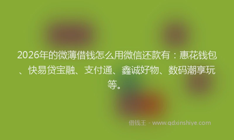 2026年的微薄借钱怎么用微信还款有:惠花钱包、快易贷宝融、支付通、鑫诚好物、数码潮享玩等。