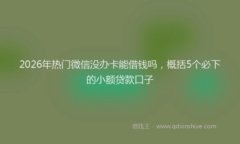 2026年热门微信没办卡能借钱吗，概括5个必下的小额贷款口子