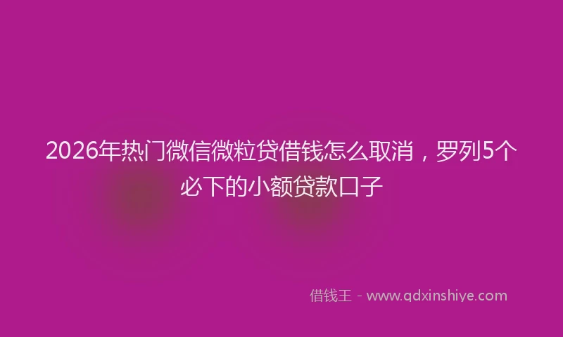 2026年热门微信微粒贷借钱怎么取消，罗列5个必下的小额贷款口子