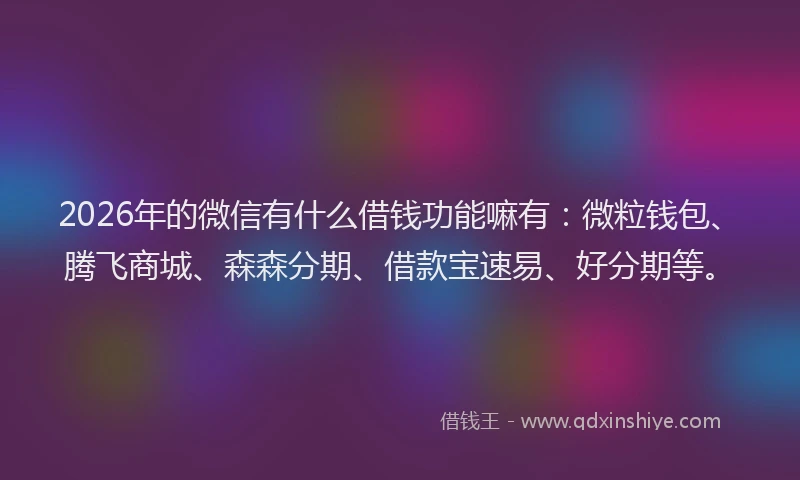2026年的微信有什么借钱功能嘛有：微粒钱包、腾飞商城、森森分期、借款宝速易、好分期等。