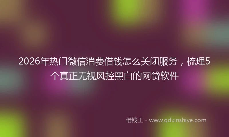 2026年热门微信消费借钱怎么关闭服务,梳理5个真正无视风控黑白的网贷软件