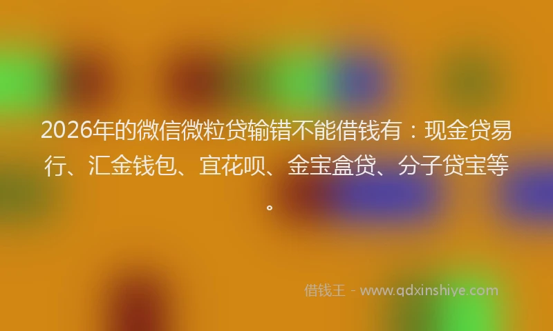 2026年的微信微粒贷输错不能借钱有:现金贷易行、汇金钱包、宜花呗、金宝盒贷、分子贷宝等。