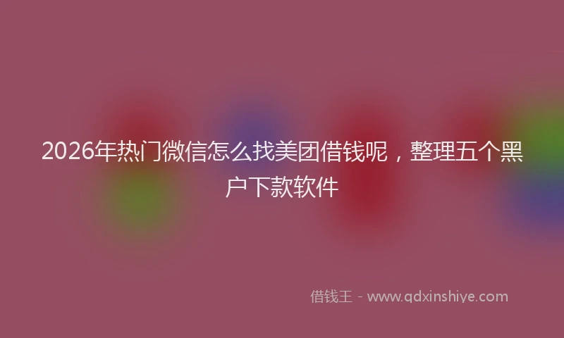 2026年热门微信怎么找美团借钱呢，整理五个黑户下款软件