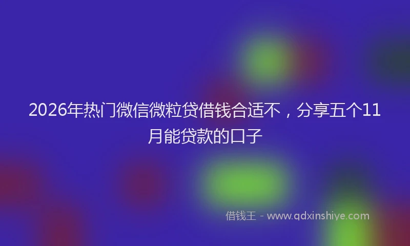 2026年热门微信微粒贷借钱合适不，分享五个11月能贷款的口子