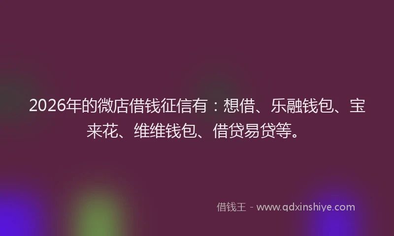 2026年的微店借钱征信有:想借、乐融钱包、宝来花、维维钱包、借贷易贷等。