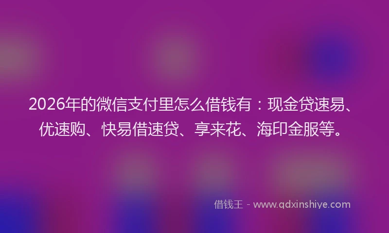 2026年的微信支付里怎么借钱有：现金贷速易、优速购、快易借速贷、享来花、海印金服等。