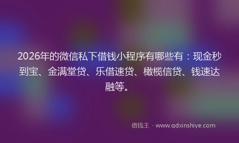 2026年的微信私下借钱小程序有哪些有：现金秒到宝、金满堂贷、乐借速贷、橄榄信贷、钱速达融等。