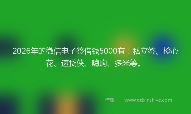 2026年的微信电子签借钱5000有：私立签、橙心花、速贷侠、嗨购、多米等。