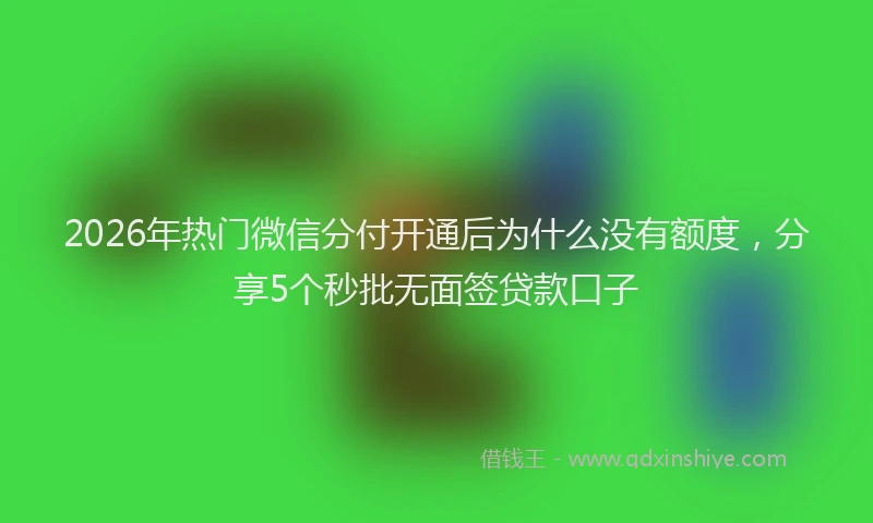 2026年热门微信分付开通后为什么没有额度，分享5个秒批无面签贷款口子