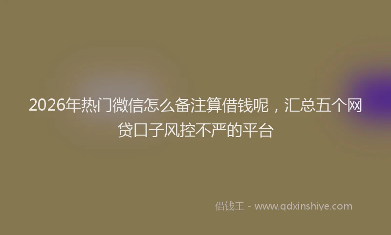 2026年热门微信怎么备注算借钱呢，汇总五个网贷口子风控不严的平台