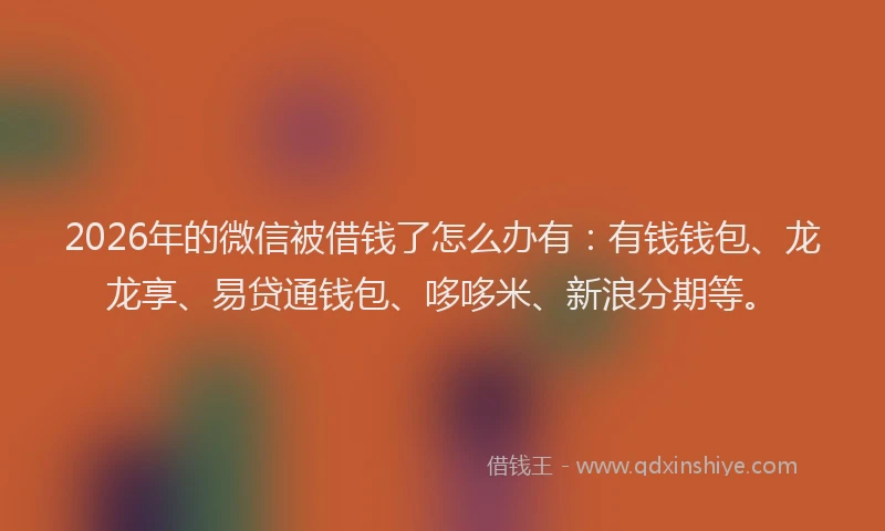 2026年的微信被借钱了怎么办有：有钱钱包、龙龙享、易贷通钱包、哆哆米、新浪分期等。