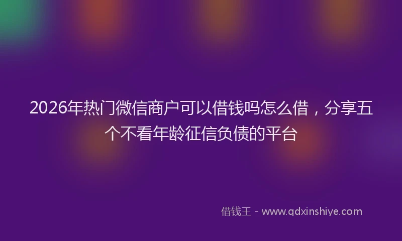 2026年热门微信商户可以借钱吗怎么借，分享五个不看年龄征信负债的平台