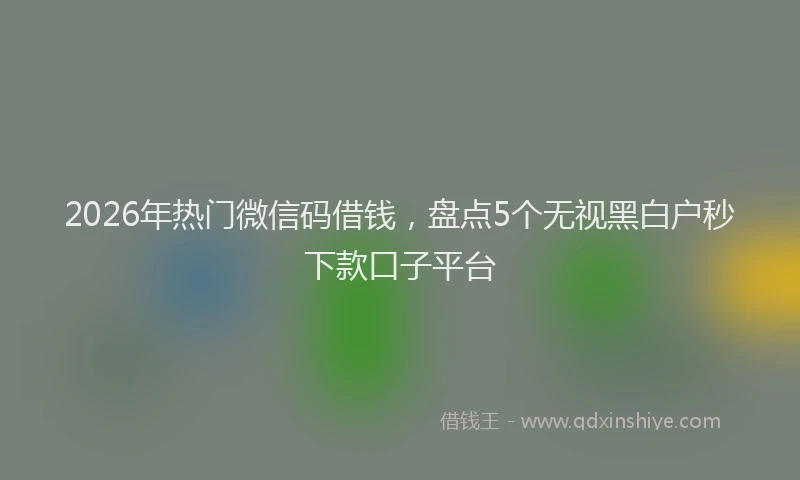 2026年热门微信码借钱，盘点5个无视黑白户秒下款口子平台