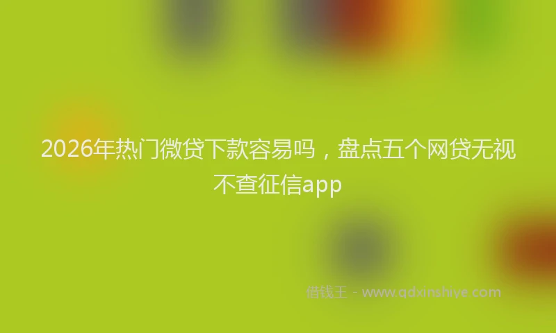 2026年热门微贷下款容易吗，盘点五个网贷无视不查征信app