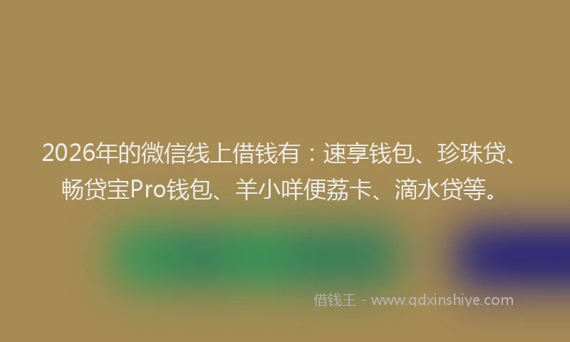 2026年的微信线上借钱有：速享钱包、珍珠贷、畅贷宝Pro钱包、羊小咩便荔卡、滴水贷等。