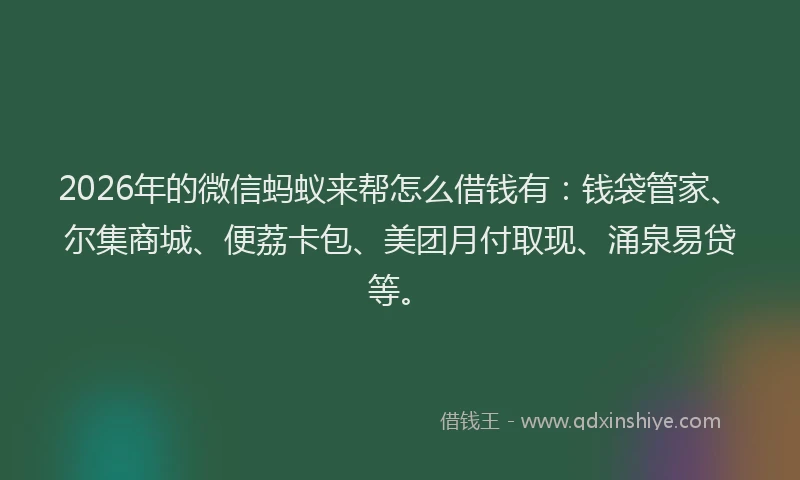 2026年的微信蚂蚁来帮怎么借钱有：钱袋管家、尔集商城、便荔卡包、美团月付取现、涌泉易贷等。