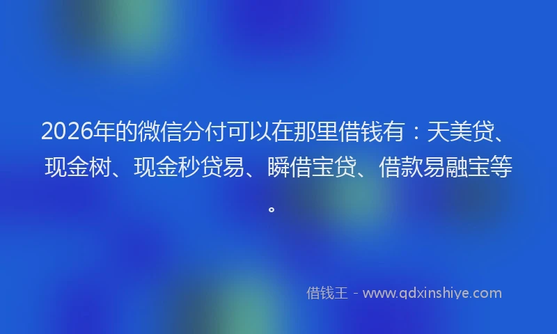 2026年的微信分付可以在那里借钱有：天美贷、现金树、现金秒贷易、瞬借宝贷、借款易融宝等。