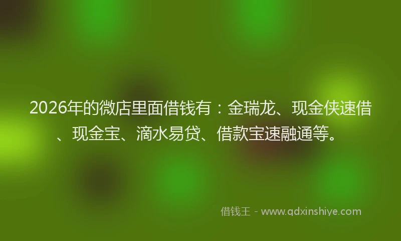 2026年的微店里面借钱有:金瑞龙、现金侠速借、现金宝、滴水易贷、借款宝速融通等。