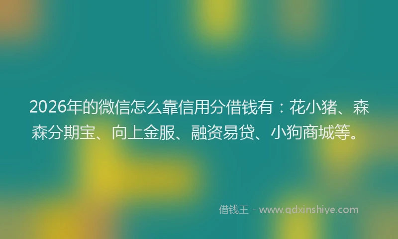 2026年的微信怎么靠信用分借钱有：花小猪、森森分期宝、向上金服、融资易贷、小狗商城等。